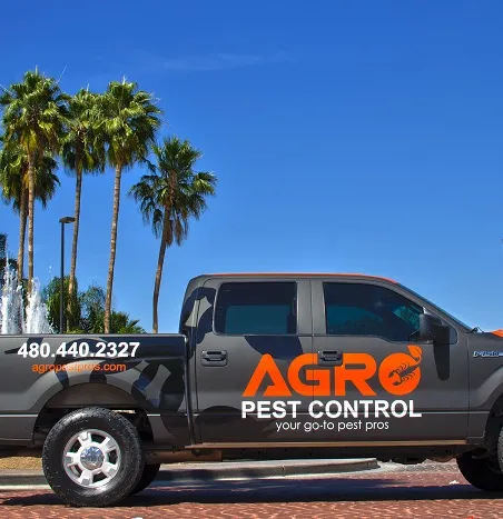 pets controller car