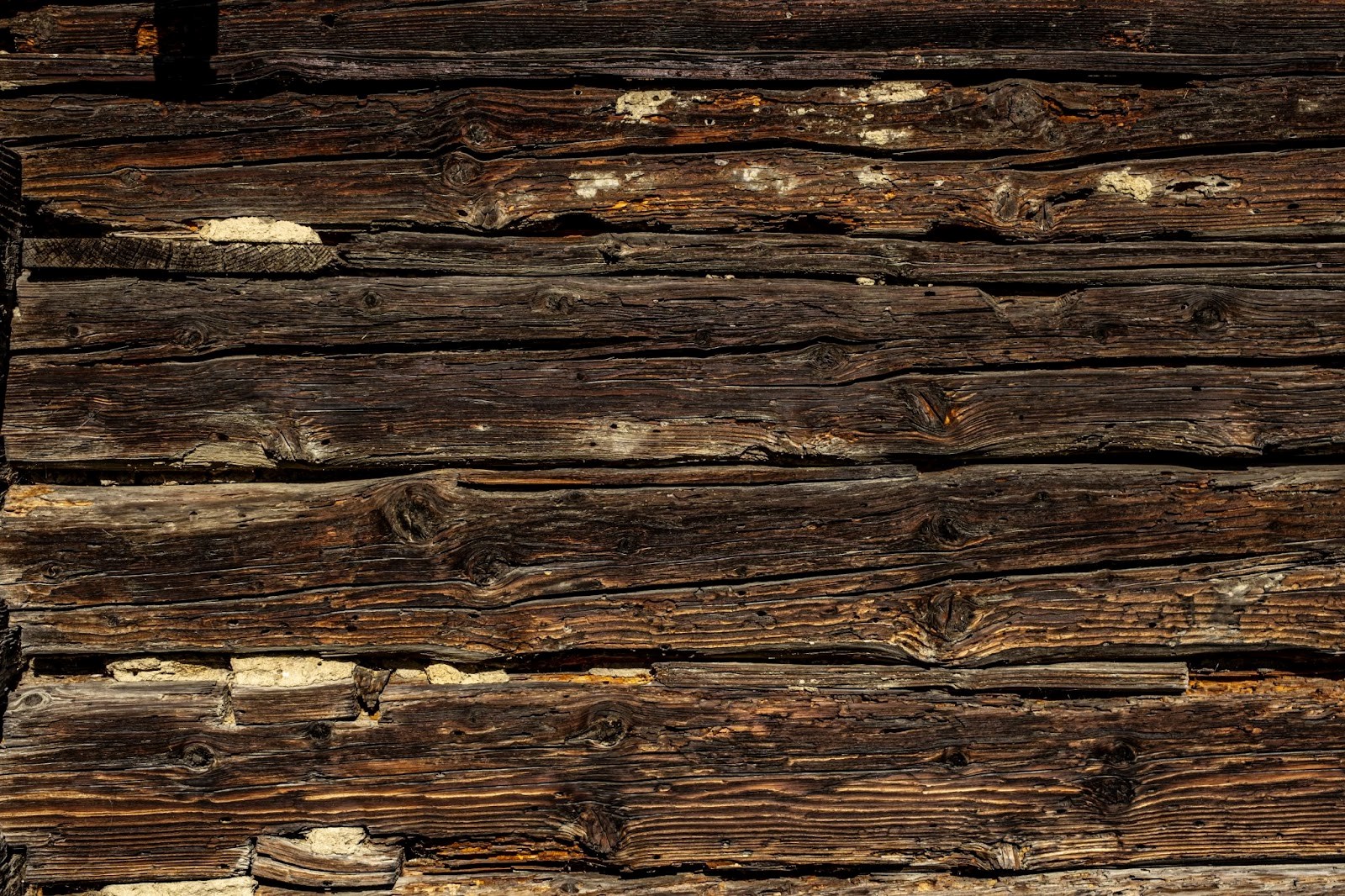 Wood Destroying Insect Inspection