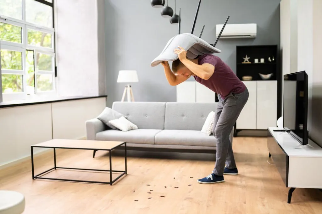 How Often Pest Control Should be Done
