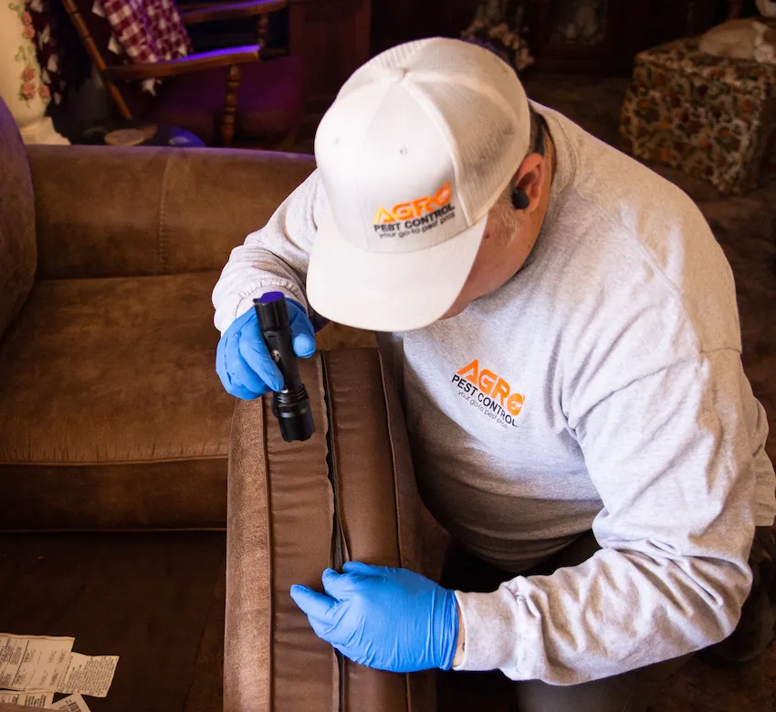Pest Control Vs Exterminator